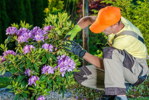 Gardener Fulham team working in a residential garden