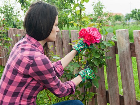 Photos and notes used to document a gardening service issue