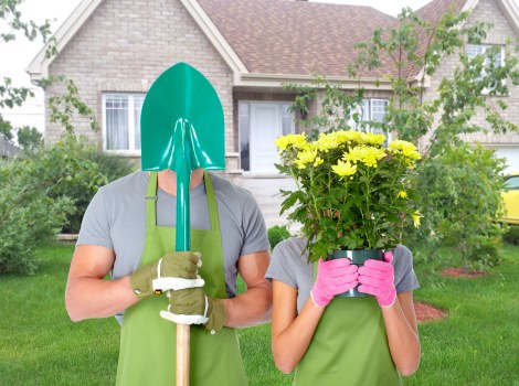 Seasonal lawn care services in Fulham