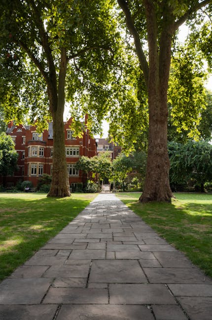 A straight stone pathway composed of rectangular paving slabs runs through a well-maintained grassy park, flanked by two large mature trees with thick trunks and lush green foliage that provide shade 
