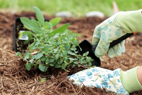 Fulham gardener working in a lush garden